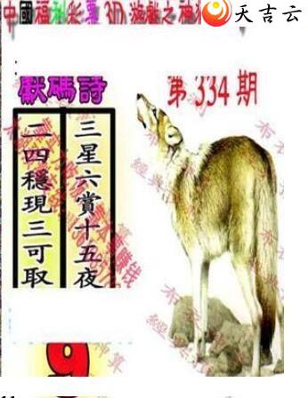 ����3d21334��������������ͼ��1