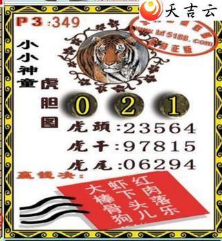 ������2021349��СС��ͯ����ͼ��1