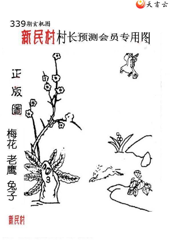 21339����峤����ͼ��2