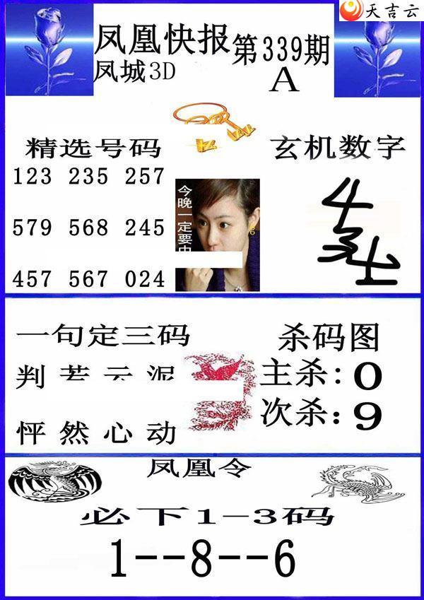 339�ڷ�˿챨ͼ��2