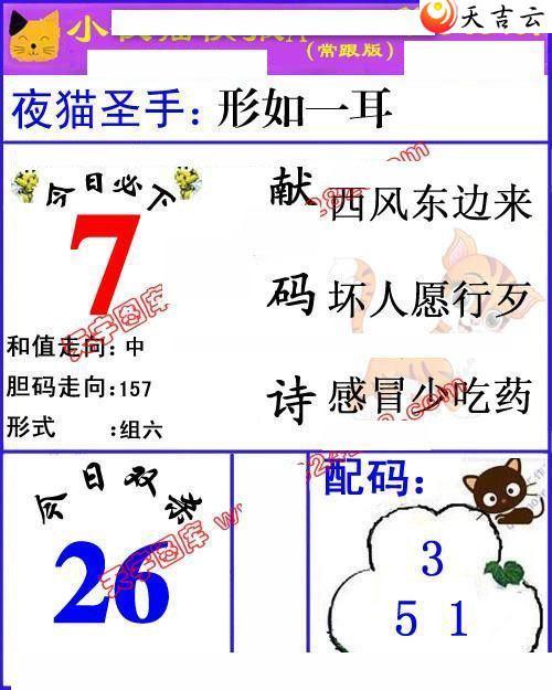 ����3d21340��Сҹè�챨ͼ��1