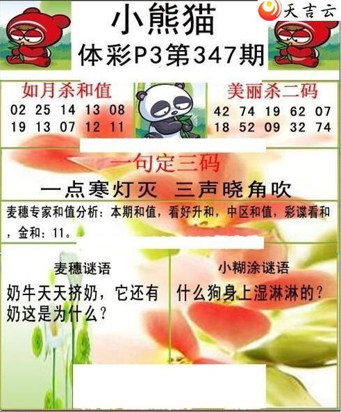 347��С��èͼ��2