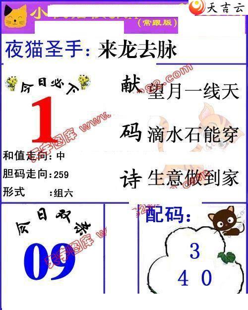 21336��Сҹè�챨ͼ��1