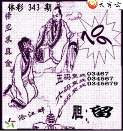 ����21343�ڲ�ǲ׽�ͼ��2