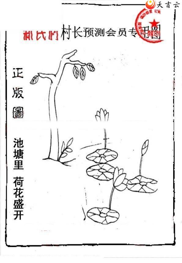 ����3d21351����峤����ͼ��1