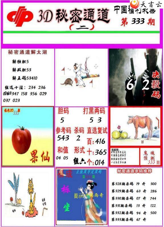 3d21333������ͨ��ͼ��2