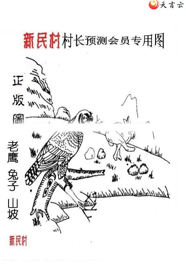 ����3d21351����峤����ͼ��3