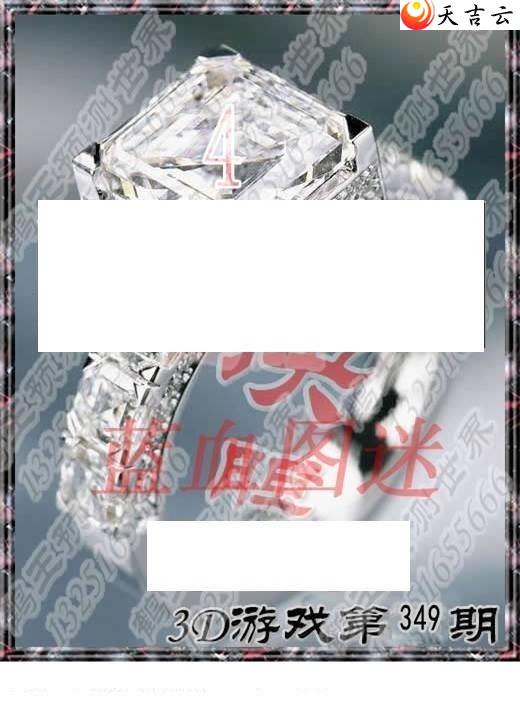 3d349��ר��˵��ͼ��2