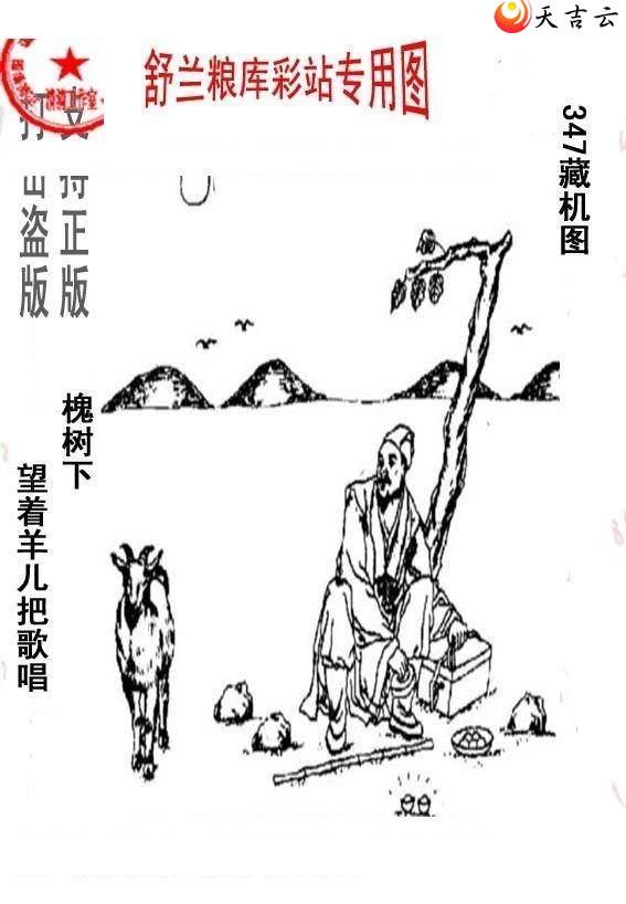 347����峤����ͼ��2