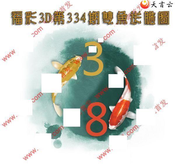 21334��˫���͵�ͼ��1