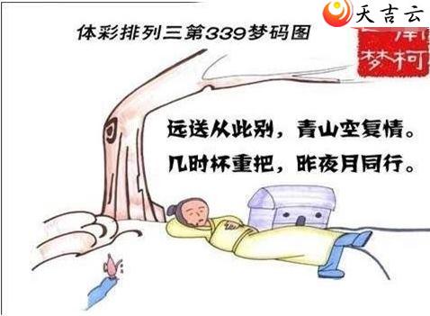 ����21339������ͼ��1