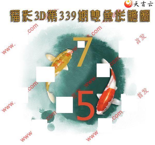 ����3d21339��˫���͵�ͼ��1