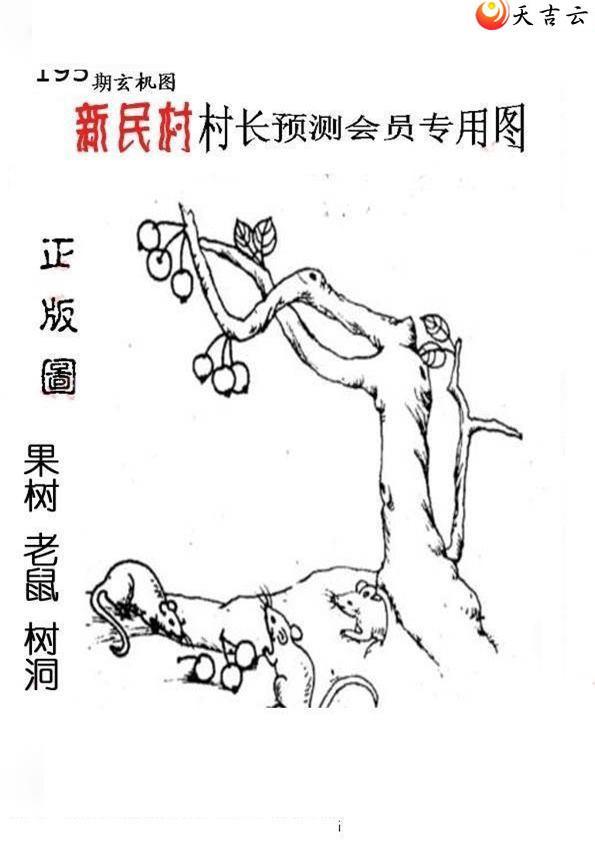 22195����峤����ͼ��3