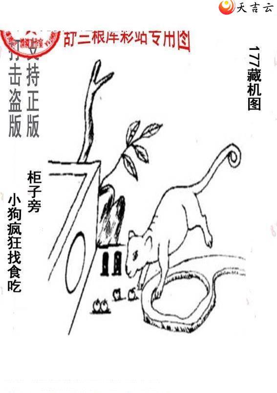 3d22177����峤����ͼ��2