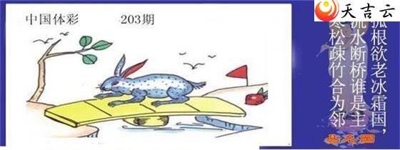22203期易名图谜2
