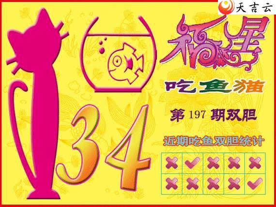 22197�ڸ��ǳ���èͼ��2