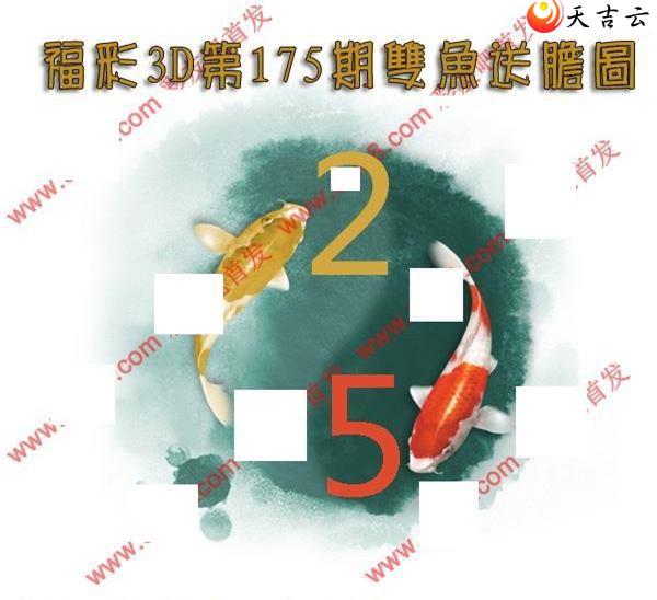 22175��˫���͵�ͼ��1