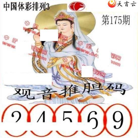 22175�ڵ����鵨ȫͼ��2