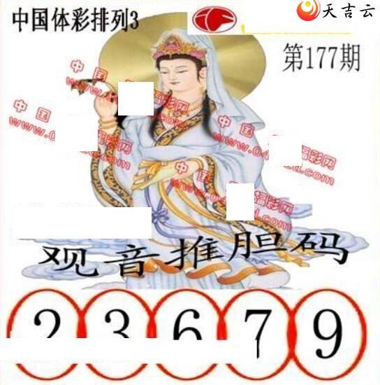 22177�ڵ����鵨ȫͼ��2