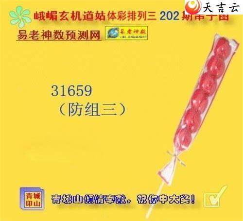 22202期期峨眉玄机道姑图谜2