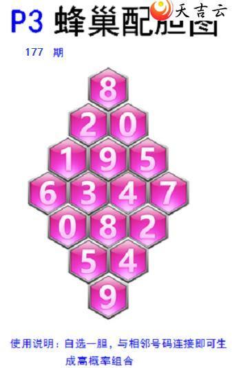 ������22177�ڷ䳲�Թ��������ͼ��1