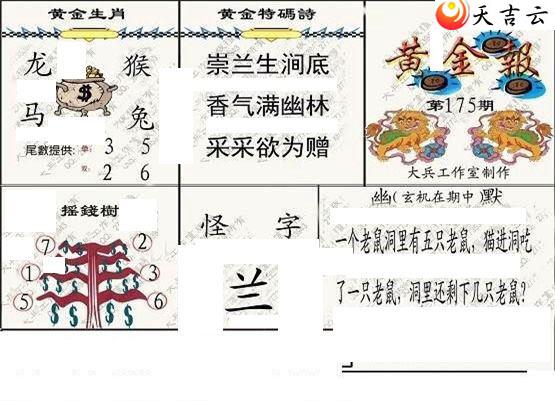 22175�ڴ��ȫ��ͼ��2