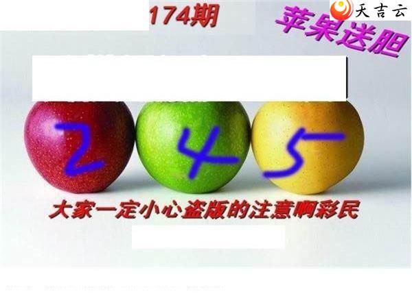 3d174��ר��˵��ͼ��2