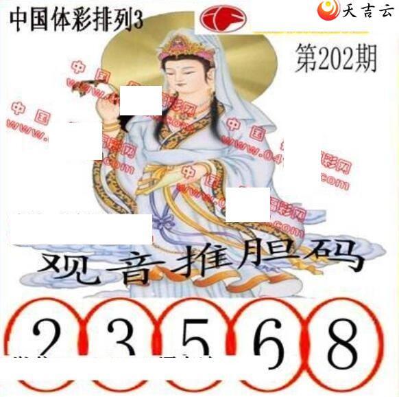 202ڵ鵨ȫͼ3