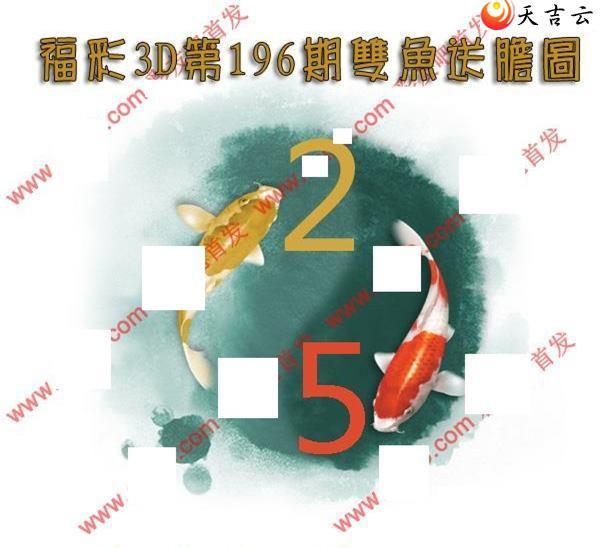 22196��˫���͵�ͼ��2