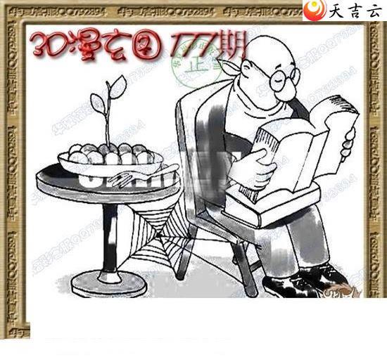 3d177��ר��˵��ͼ��2