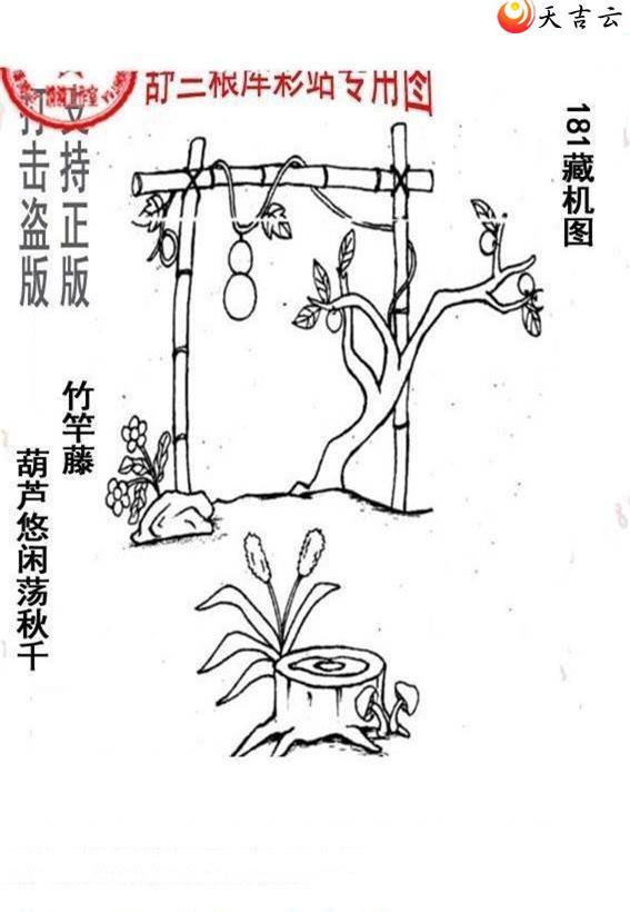 3d22181����峤����ͼ��1