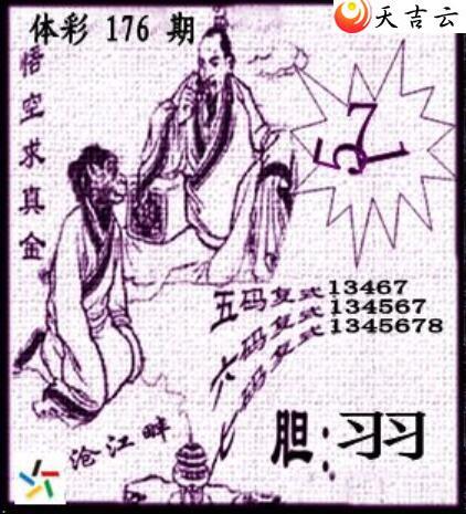 22176�ڲ�ǲ׽�ͼ��2