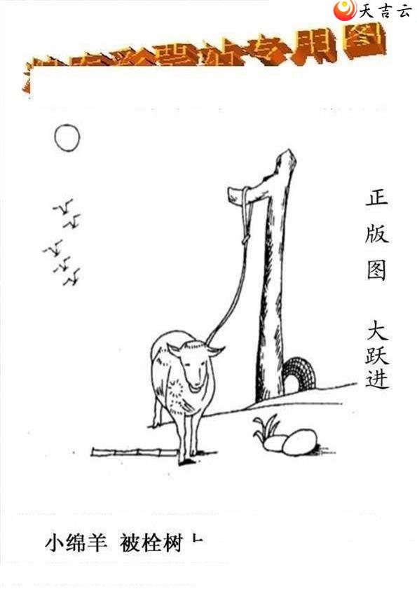 ����3d22179����峤����ͼ��1