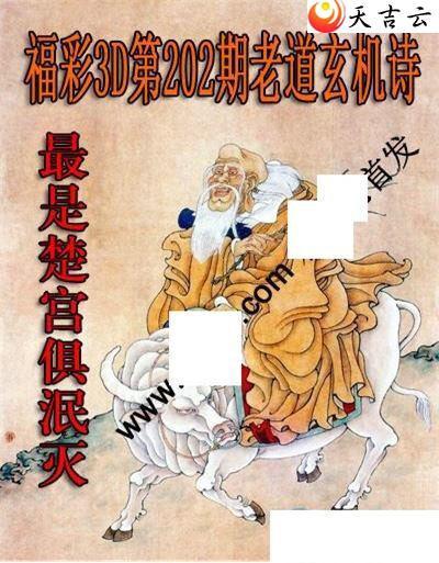 ����3d22202���ϵ�����ʫͼ��2