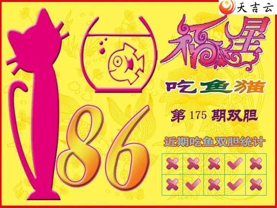 22175�ڸ��ǳ���èͼ��1