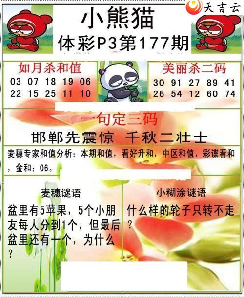 ������22177��С��èͼ��2