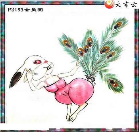 ������22153����������ͼ��2