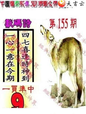 155��������������ͼ��2