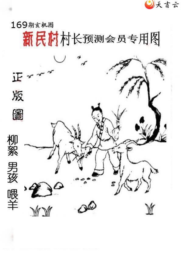 169����峤����ͼ��3