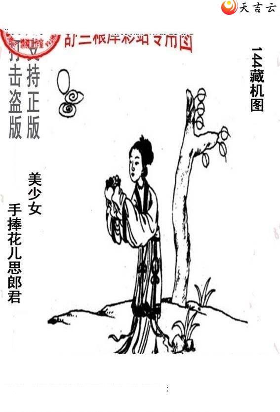 ����3d22144����峤����ͼ��3