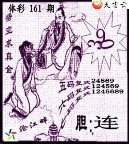 22161�ڲ�ǲ׽�ͼ��2