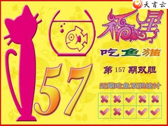 22157�ڸ��ǳ���èͼ��1