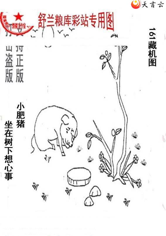 22161����峤����ͼ��3