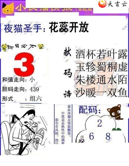 3d22143��Сҹè�챨ͼ��2