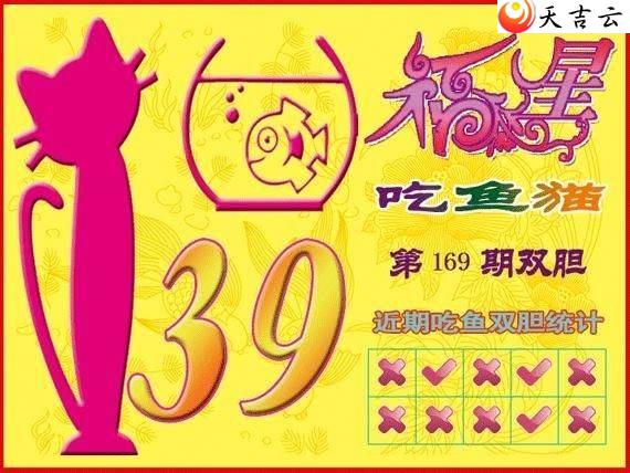 22169�ڸ��ǳ���èͼ��1