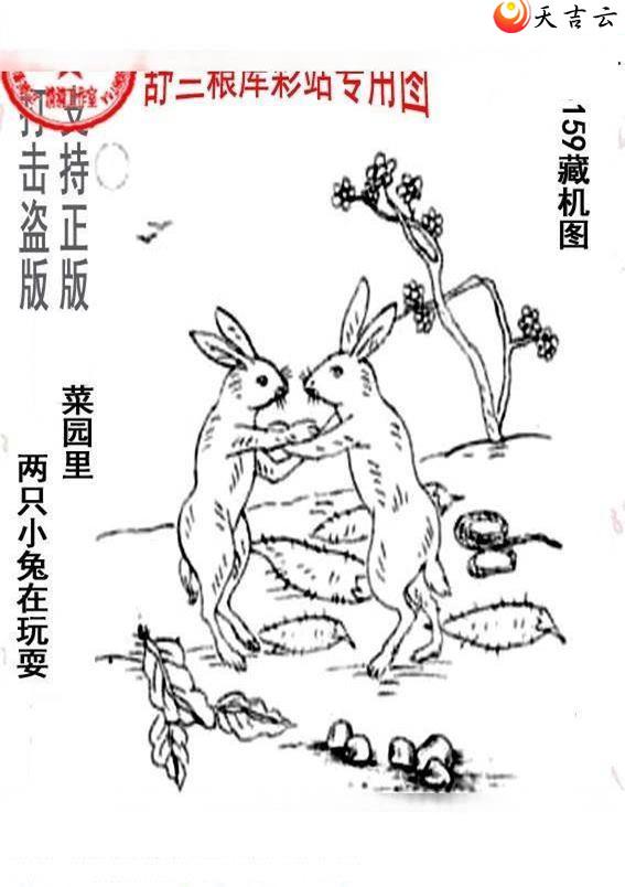 3d159����峤����ͼ��3